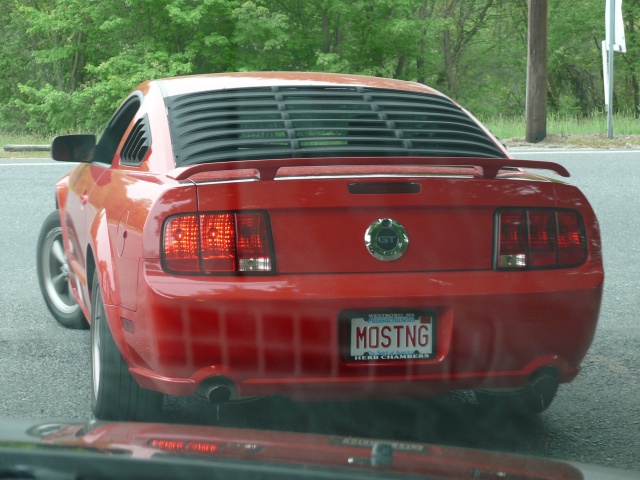 We stopped behind this Mustang GT while on vacation in New England. (car_0026.jpg, 640w x 480h )