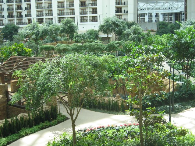 This is a view from the balcony of our room. (qc050011.jpg, 640w x 480h )