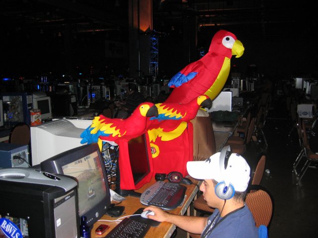 Obviously, the guy is a Parrothead. (qc053010.jpg, 640w x 480h )